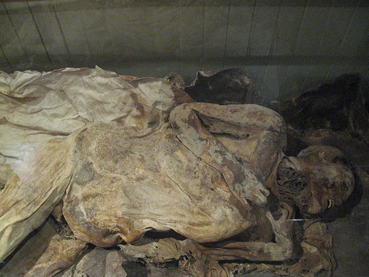 Chilenischer Ötzi im Museum