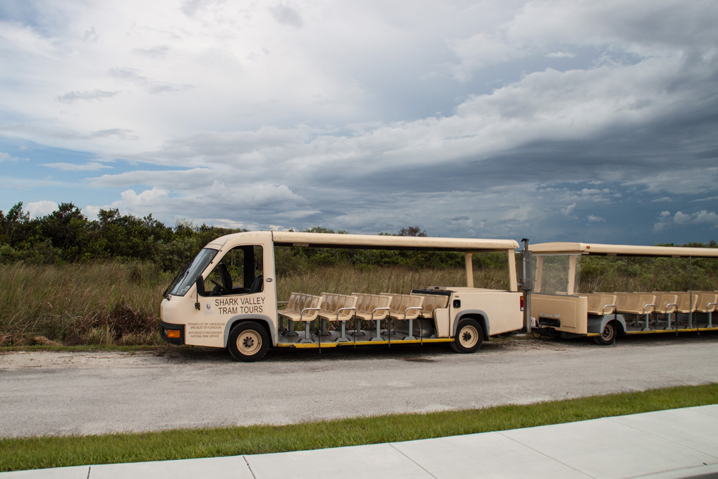 Everglades_Tram