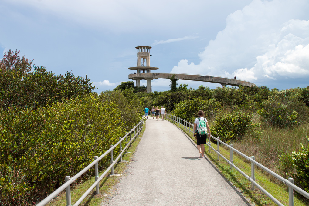 Everglades_Turm