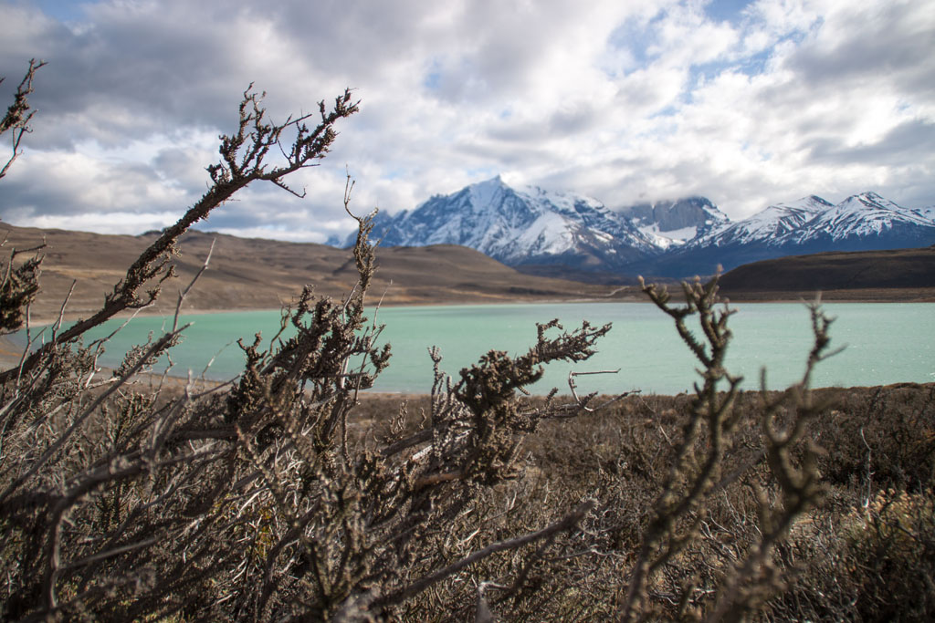 Laguna Amarga