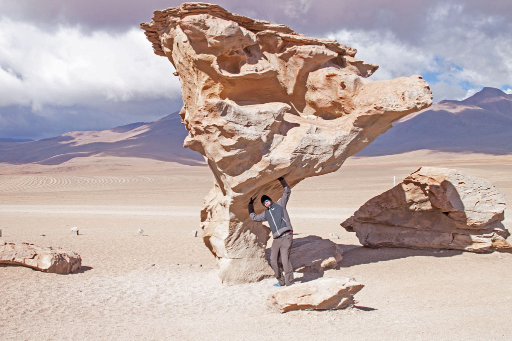 Arbol de Piedra