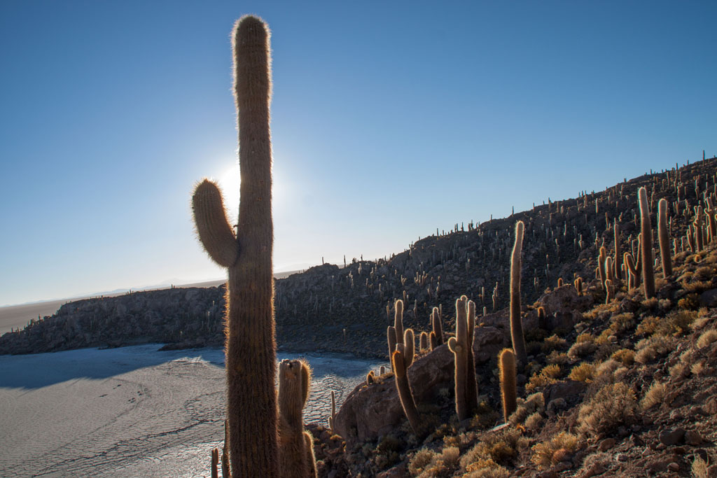 20140914_070957_071_Salar_de_Uyuni_IMG_3696