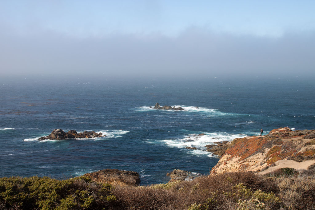 20141008_110201_093_Big_Sur_IMG_5175