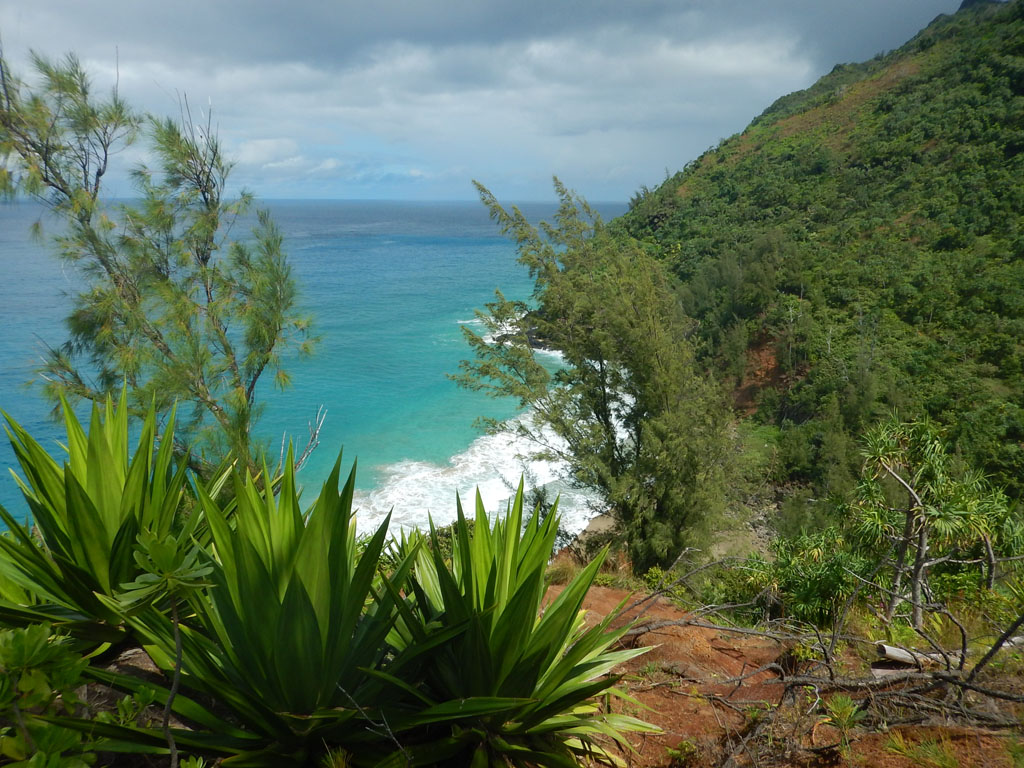 20141022_132648_110_Kauai_115_Kalalau_Trail_DSCN4378