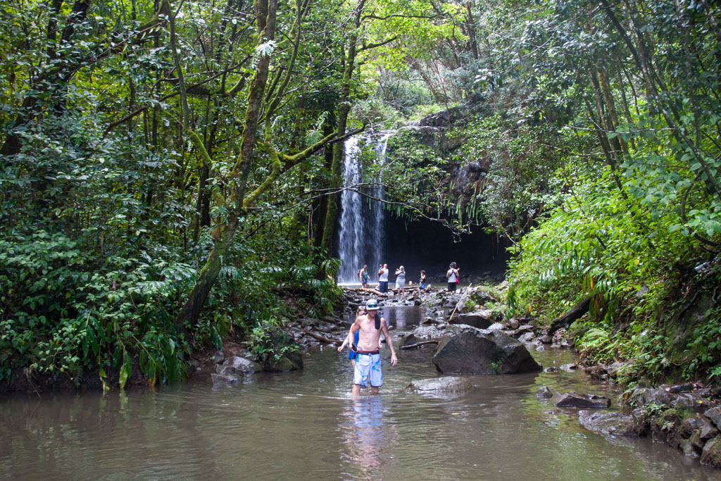 20141027_100338_120_Maui_123_Road_to_Hana_IMG_6308