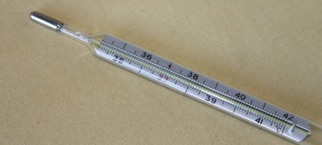 photo credit: Rtuťový teploměr; Mediacal mercury-in-glass thermometer via photopin (license)