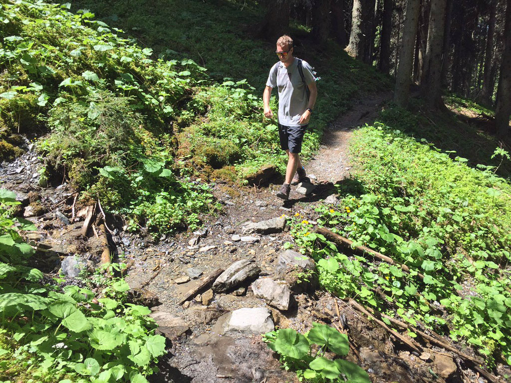 Wandern am Pilzlehrpfad