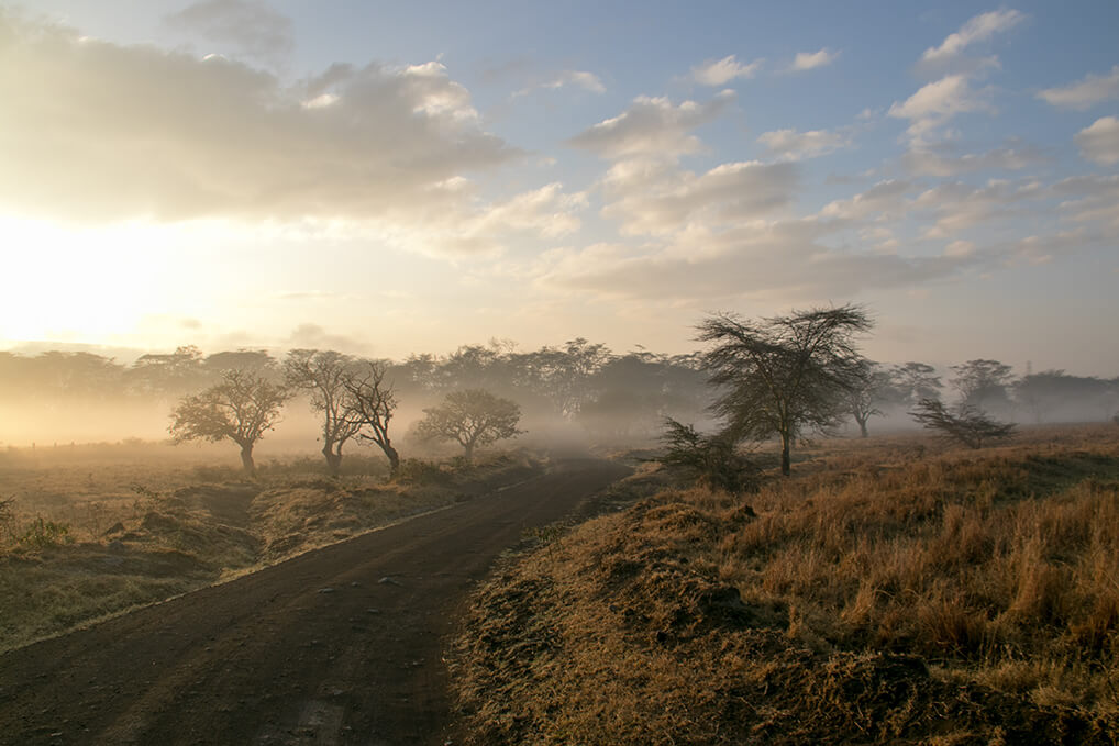 Morgendunst am Lake Nakuro in Kenia