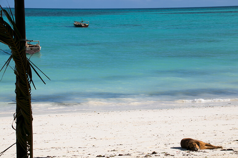 Nungwi Beach auf Sansibar