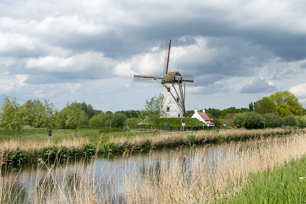 Windmühle in Damme