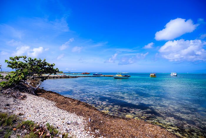 Rodgers Beach - photo credit: Aruba Tourism Authority