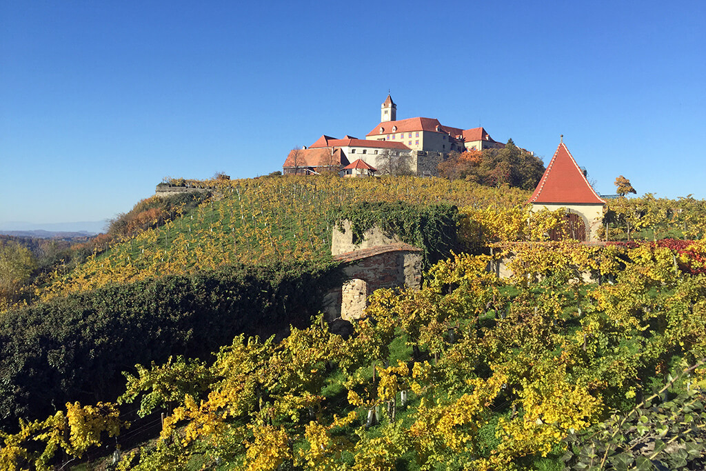 Weingarten Riegersburg im Herbst