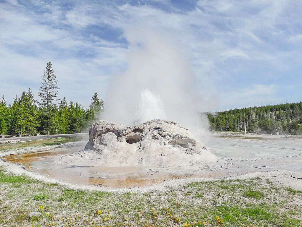 Geysir im Yellowstone Nationalpark