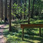 Forschungsstation am Naturlehrpfad