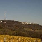 Cobenzl_Blick_Kahlenberg_IMG_8446