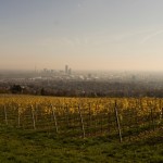 Cobenzl_Blick_Stadt_WeingartenIMG_8441_1018x460