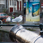 20131130-AMSTERDAM-IMG_8736_small