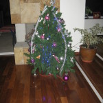 Christbaum in Santiago