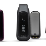 TP_Fitbit_Collection
