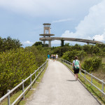 Everglades_Turm