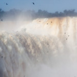 iguacu_waterfalls_brasil_devilsthroat_birds