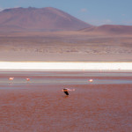 20140912_153152_071_Salar_de_Uyuni_IMG_3516