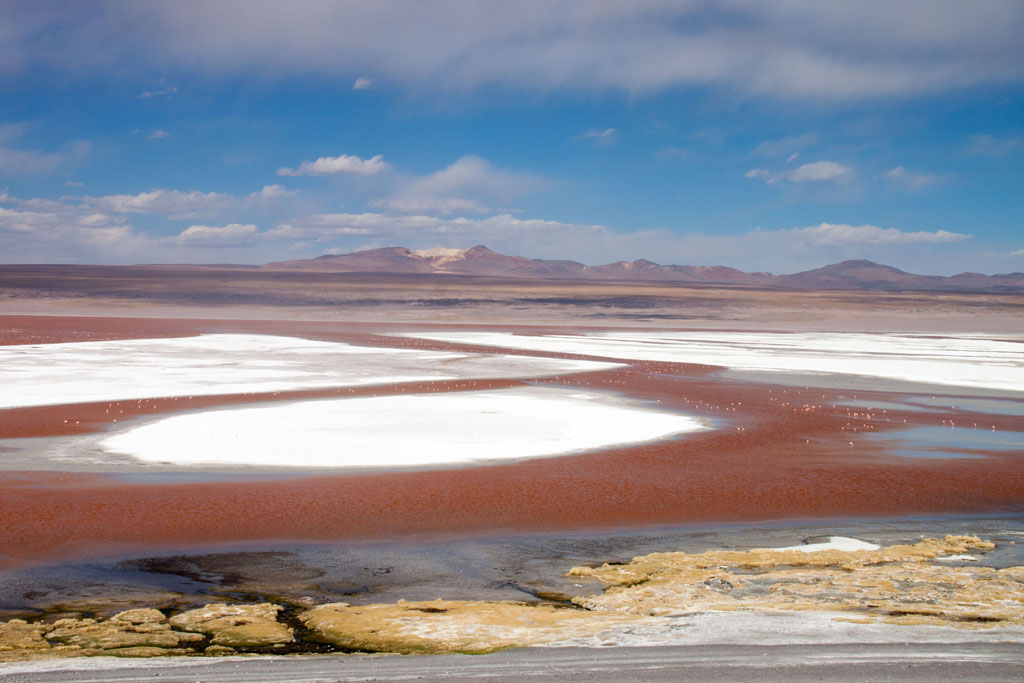 Laguna Colorada Bolivien