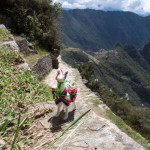 20140919_135255_083_Machu_Picchu_IMG_4051