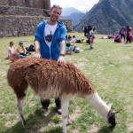 20140919_143904_083_Machu_Picchu_IMG_4061
