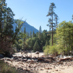 20141006_135616_092_Yosemite_IMG_5104
