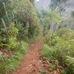 20141022_125558_110_Kauai_115_Kalalau_Trail_DSCN4361