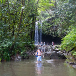 20141027_100338_120_Maui_123_Road_to_Hana_IMG_6308