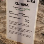 Kuhina Oahu Laniakea Beach