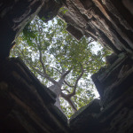 20141129_104614_151_Angkor_Siem_Reap_IMG_8041