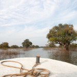 20141130_090542_152_Sangker_River_IMG_8116