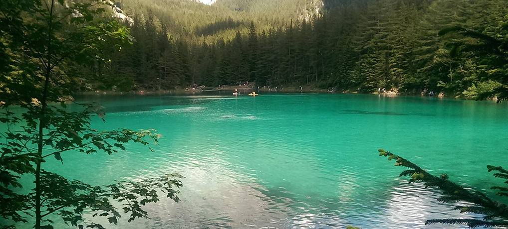 Ресторан зеленое озеро. Зеленое озеро Штирии, Австрия. Зеленое озеро Алтай. Зеленое озеро Годердзи. Литва зеленые озера.
