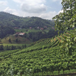 TP_Terroir_erleben_Buschenschank_Suedsteiermark_15