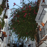 Marbella_blumenstrauch