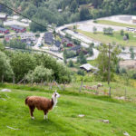 tp_geiranger_img_2867