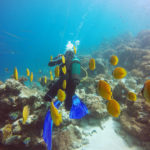 tp-zanzibar-diving-travelationship-noder