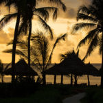 tp_zanzibar-tom-erickson-rem