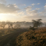 TP_Afrika_Kenia_Safari_Morgenstund_Dunst