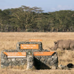 TP_Kenia_Lake_Nakuru_Nashoerner_IMG_7117