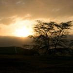 TP_Kenia_Lake_Nakuru_Sonnenaufgang_IMG_6955