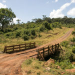 TP_Kenia_Safari_Aberdare_Bruecke_IMG_6608