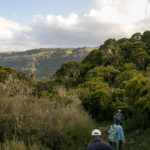 TP_Kenia_Safari_Aberdare_Wanderung_Karuru_Wasserfall_IMG_6695