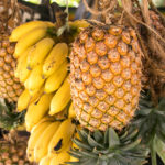 Ananas und Bananen auf Sansibar