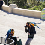 TravelPins-San-Marino-small-IMG-9229