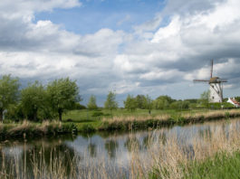 Brügge sehen … und Flandern genießen: Unterwegs im kulinarischen Eck Belgiens Windmühle in der Nähe von Brügge