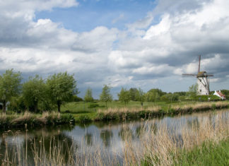 Brügge sehen … und Flandern genießen: Unterwegs im kulinarischen Eck Belgiens Windmühle in der Nähe von Brügge